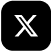 X Icon